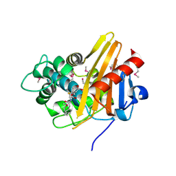 Molmil generated image of 1xa7