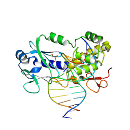 Molmil generated image of 1xc8