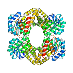 Molmil generated image of 1xl9
