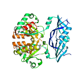 Molmil generated image of 1xml