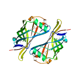 Molmil generated image of 1y0g