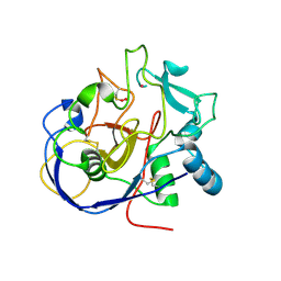 Molmil generated image of 1y1h