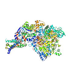 Molmil generated image of 1y5l