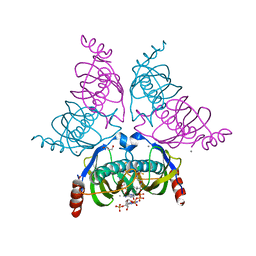 Molmil generated image of 1yli