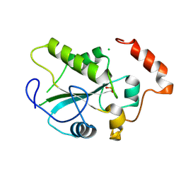 Molmil generated image of 1ym9