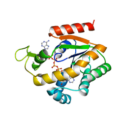 Molmil generated image of 1zin