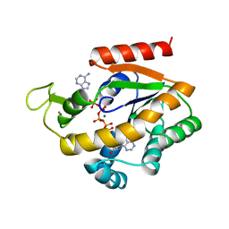 Molmil generated image of 1zio