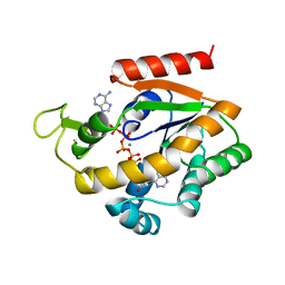 Molmil generated image of 1zip