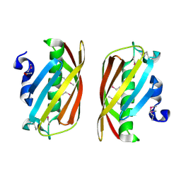 Molmil generated image of 1zki