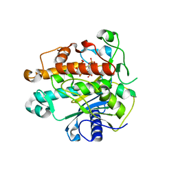 Molmil generated image of 1zy7