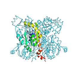 Molmil generated image of 2anb