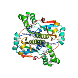 Molmil generated image of 2b67