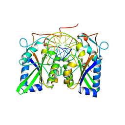 Molmil generated image of 2bam