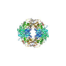 Molmil generated image of 2bfg