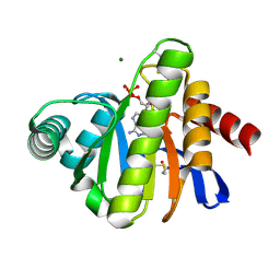 Molmil generated image of 2bfr