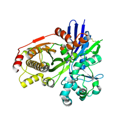 Molmil generated image of 2cgk