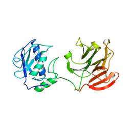 Molmil generated image of 2clt