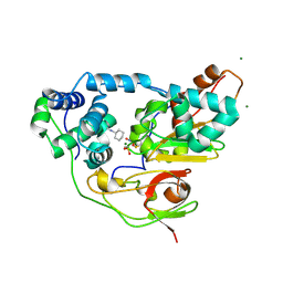 Molmil generated image of 2cz6