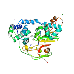 Molmil generated image of 2d0q