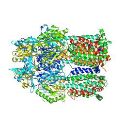 Molmil generated image of 2dr6