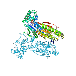 Molmil generated image of 2dwp