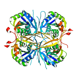 Molmil generated image of 2e6e