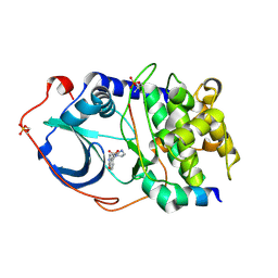 Molmil generated image of 2erz