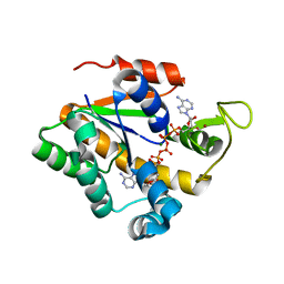 Molmil generated image of 2eu8