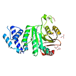 Molmil generated image of 2f8l