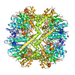 Molmil generated image of 2fzs