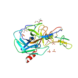 Molmil generated image of 2g81