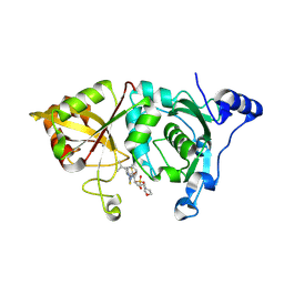 Molmil generated image of 2g8e