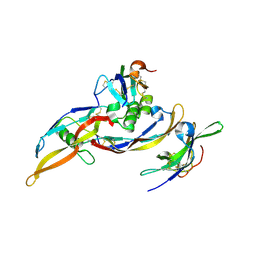 Molmil generated image of 2h62