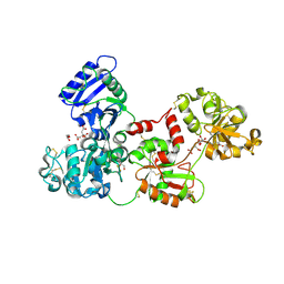 Molmil generated image of 2hav
