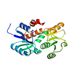 Molmil generated image of 2hk7