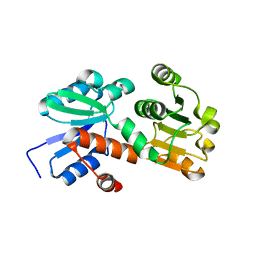Molmil generated image of 2hk8
