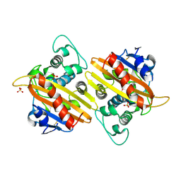 Molmil generated image of 2hp6
