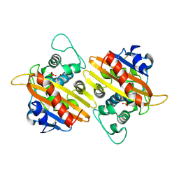 Molmil generated image of 2hp9