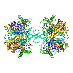 Molmil generated image of 2ib8