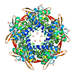 Molmil generated image of 2ivq