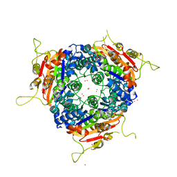 Molmil generated image of 2j4k