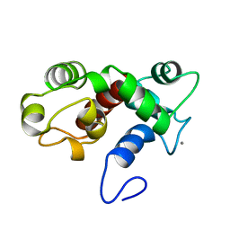 Molmil generated image of 2k60