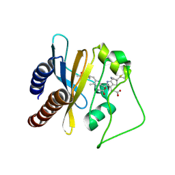 Molmil generated image of 2lb9