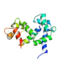 Molmil generated image of 2m55