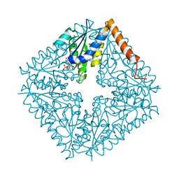 Molmil generated image of 2nsh