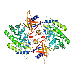 Molmil generated image of 2nva