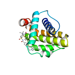Molmil generated image of 2o2n