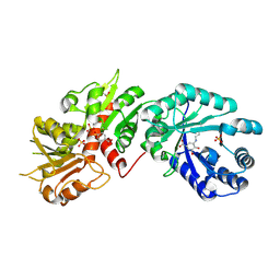 Molmil generated image of 2o7q