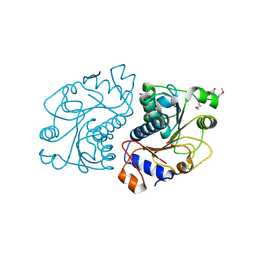Molmil generated image of 2o8n