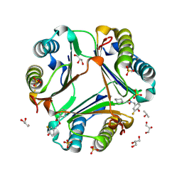 Molmil generated image of 2oow